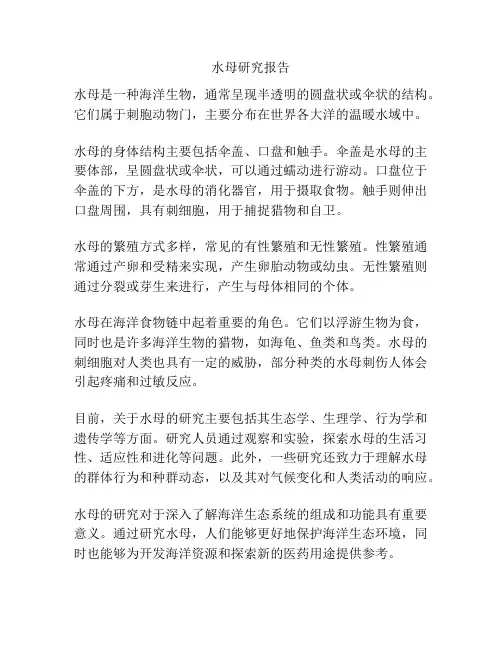 水母研究报告