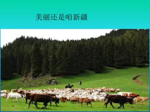 人教版八年级地理下册8.2《干旱的宝地——塔里木盆地》课件(共40张PPT)