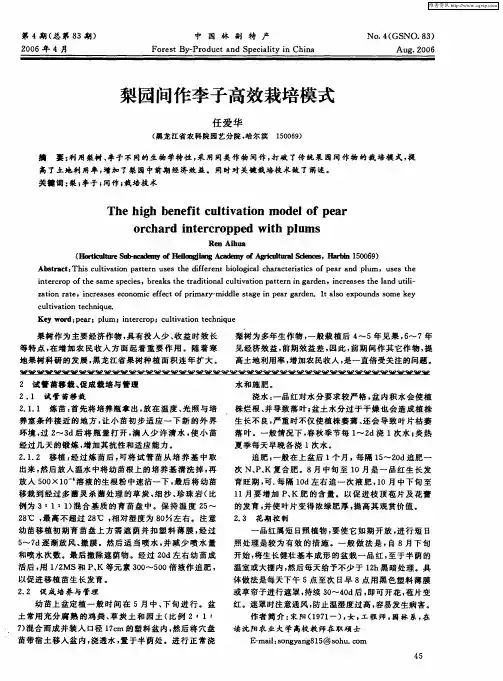 梨园间作李子高效栽培模式