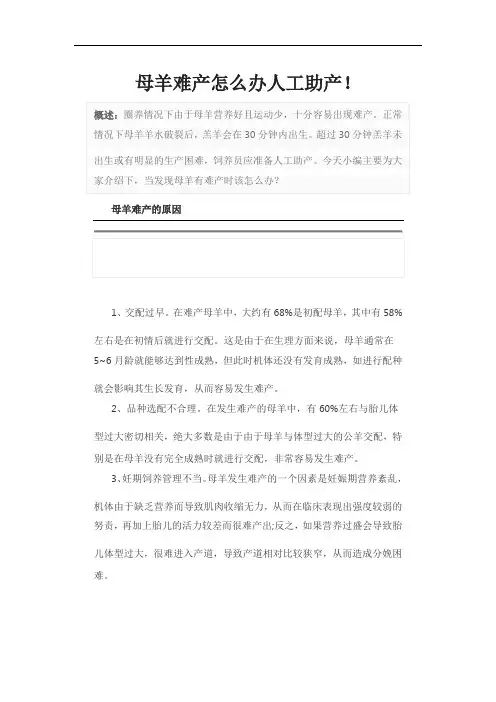 母羊难产怎么办人工助产