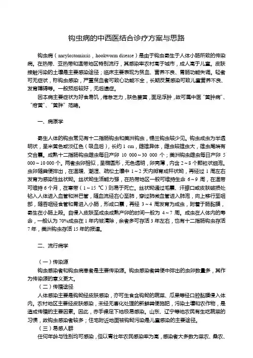 钩虫病的中西医结合诊疗方案与思路