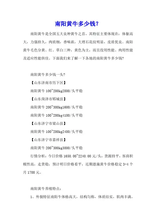 南阳黄牛多少钱？