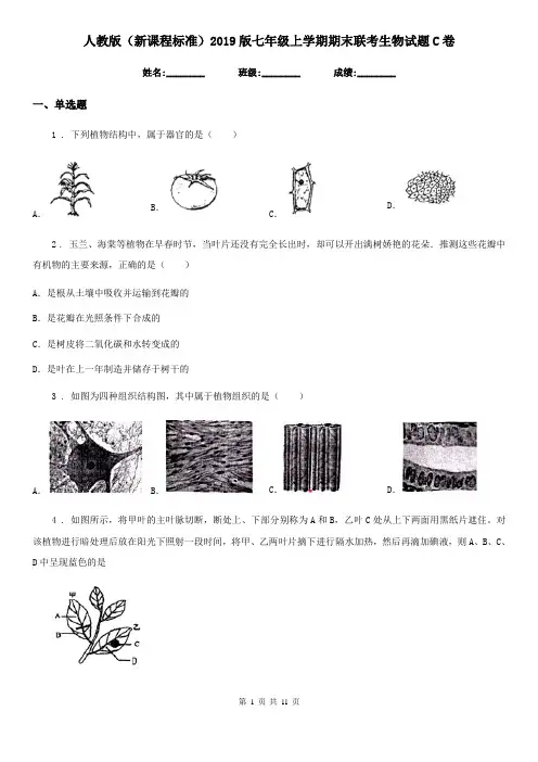 人教版(新课程标准)2019版七年级上学期期末联考生物试题C卷