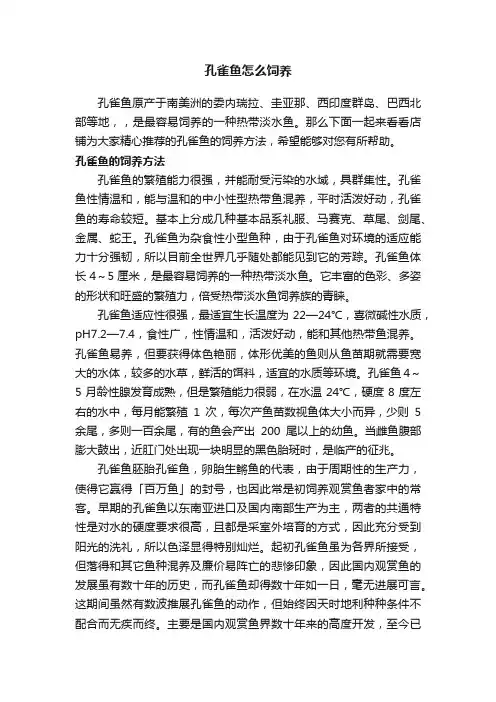 孔雀鱼怎么饲养