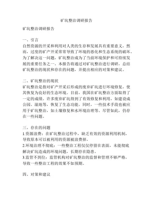 矿坑整治调研报告