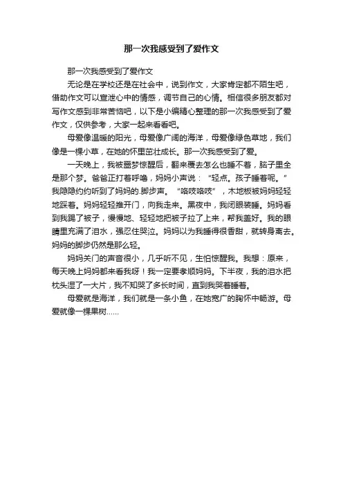 那一次我感受到了爱作文