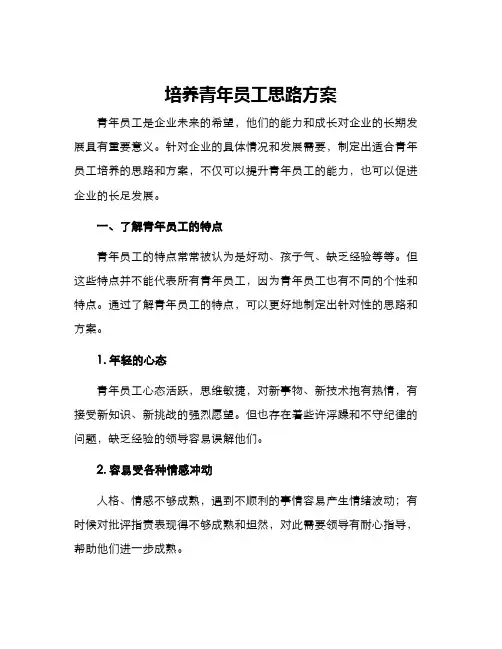 培养青年员工思路方案