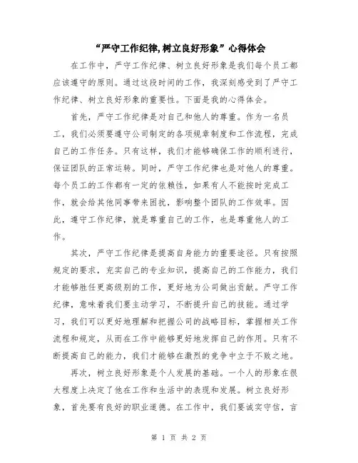 “严守工作纪律,树立良好形象”心得体会