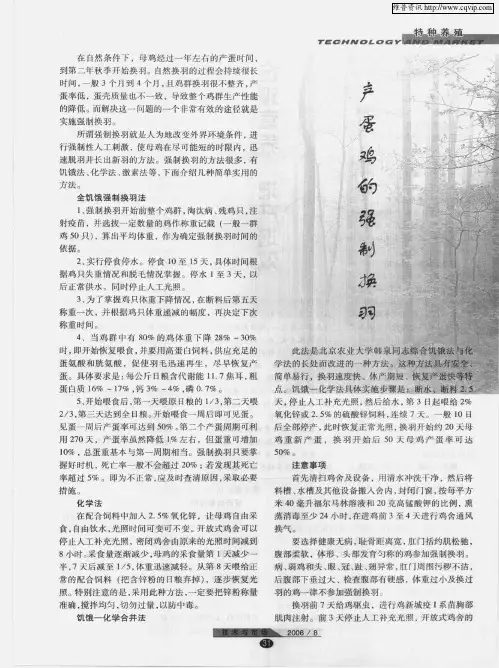 产蛋鸡的强制换羽