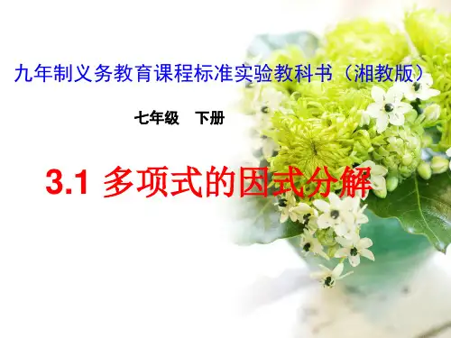 湘教版数学七年级下册第三章《3.1多项式的因式分解》公开课课件2(19张)