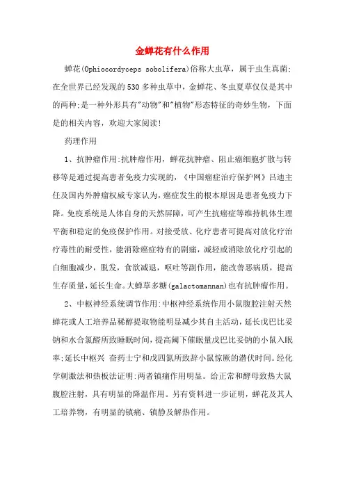金蝉花有什么作用