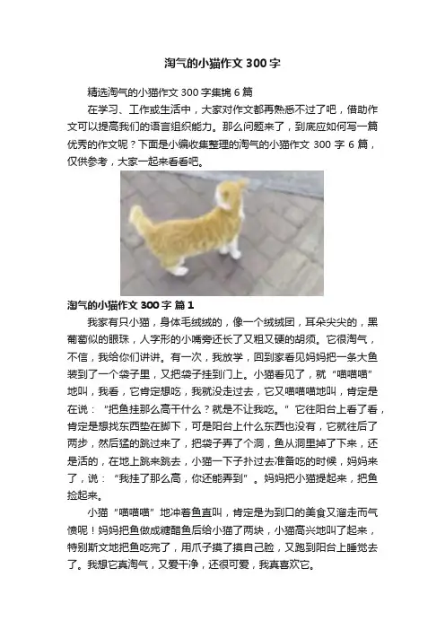 淘气的小猫作文300字