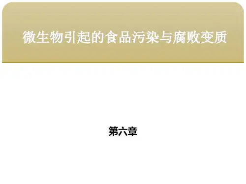 食品微生物学 第六章微生物引起的食品污染与腐败变质 第三节不同食品的腐败变质