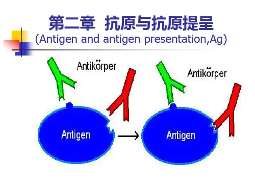 细胞与分子免疫学：第二章 抗原与抗原提呈