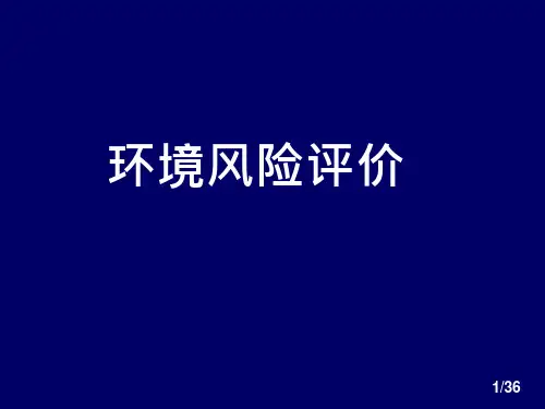环境风险评价ppt课件