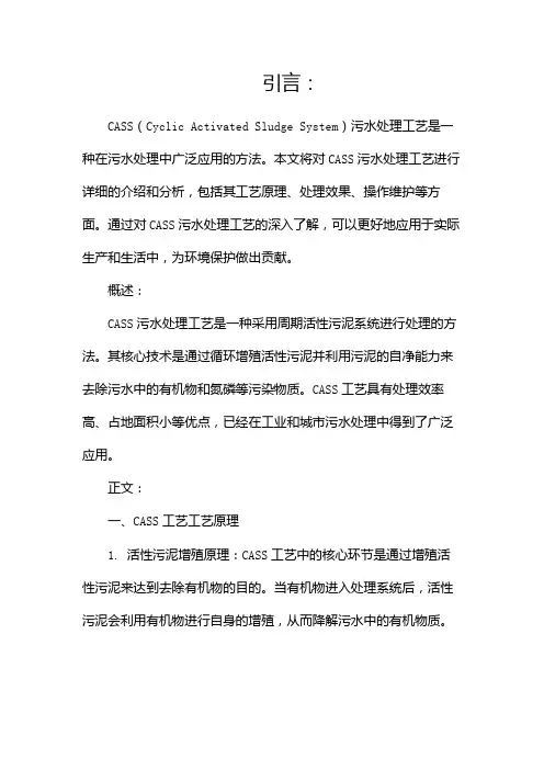 CASS污水处理工艺