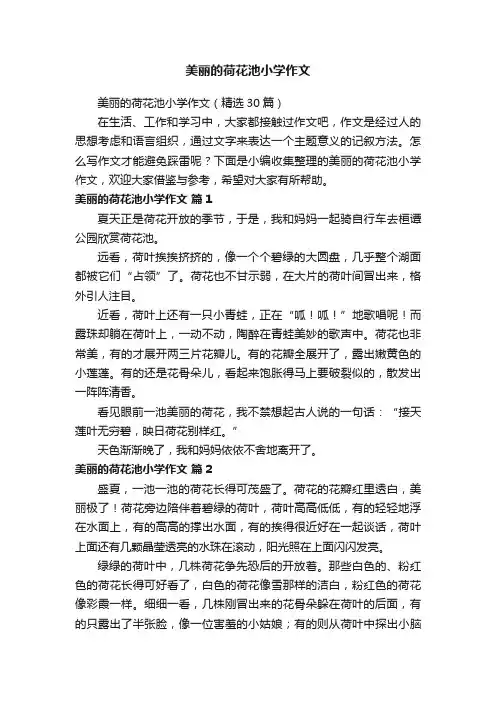 美丽的荷花池小学作文（精选30篇）