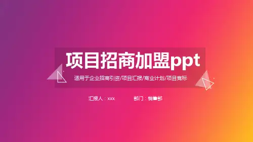 产业园区招商方案PPT