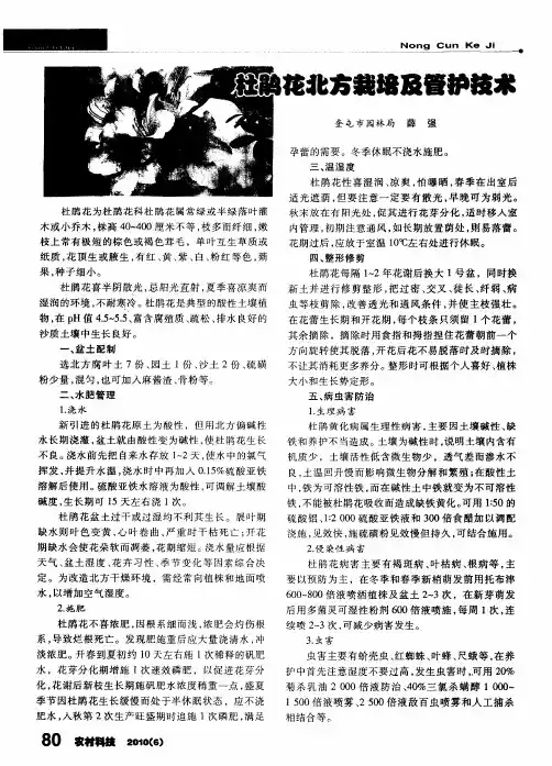 杜鹃花北方栽培及管护技术
