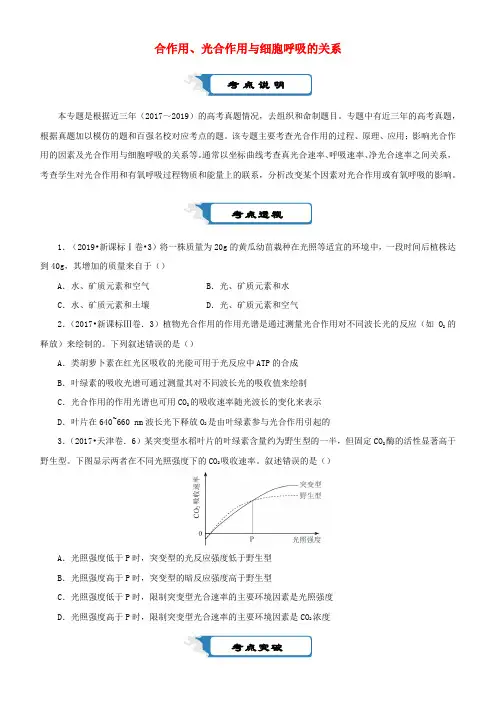 高考生物二轮复习光合作用光合作用与细胞呼吸的关系复习题及答案解析
