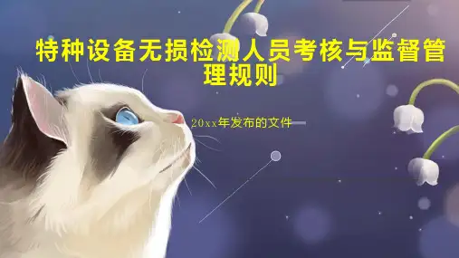 特种设备无损检测人员考核与监督管理规则