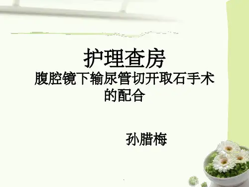 腹腔镜下输尿管切开取石术的配合ppt课件