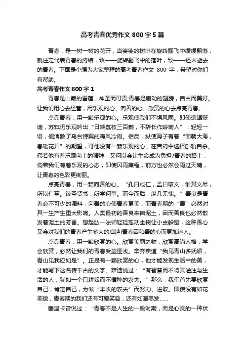 高考青春优秀作文800字5篇