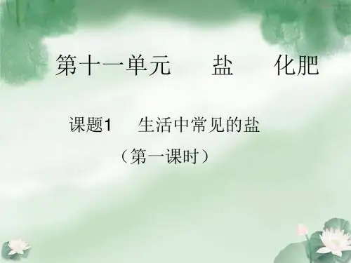 九年级化学第十一单元盐-化肥-课题1生活中常见的盐课件