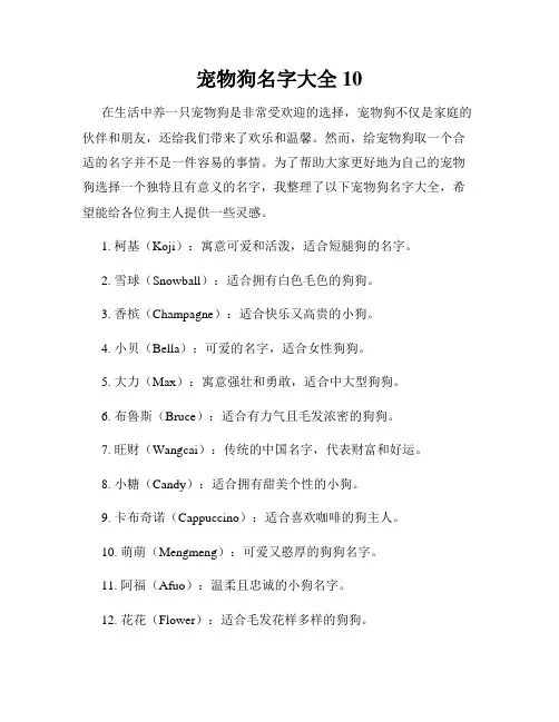 宠物狗名字大全10