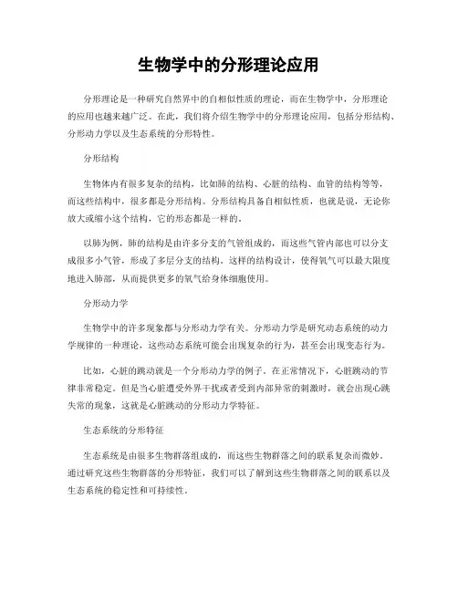 生物学中的分形理论应用
