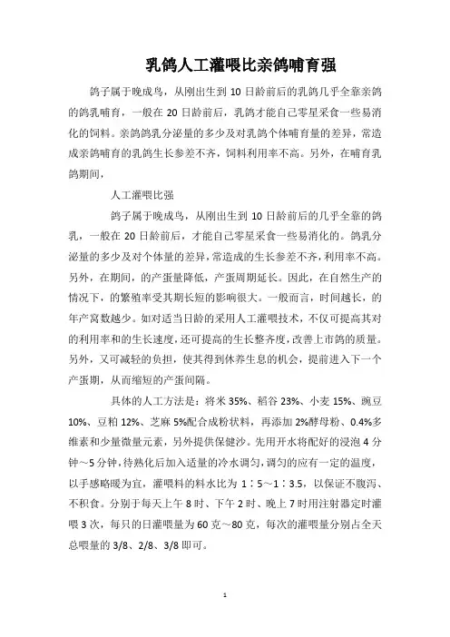 乳鸽人工灌喂比亲鸽哺育强