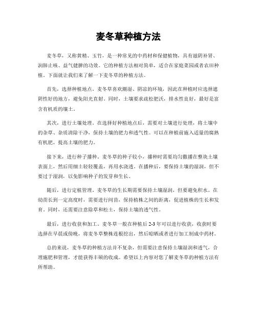 麦冬草种植方法