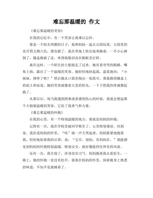 难忘那温暖的 作文