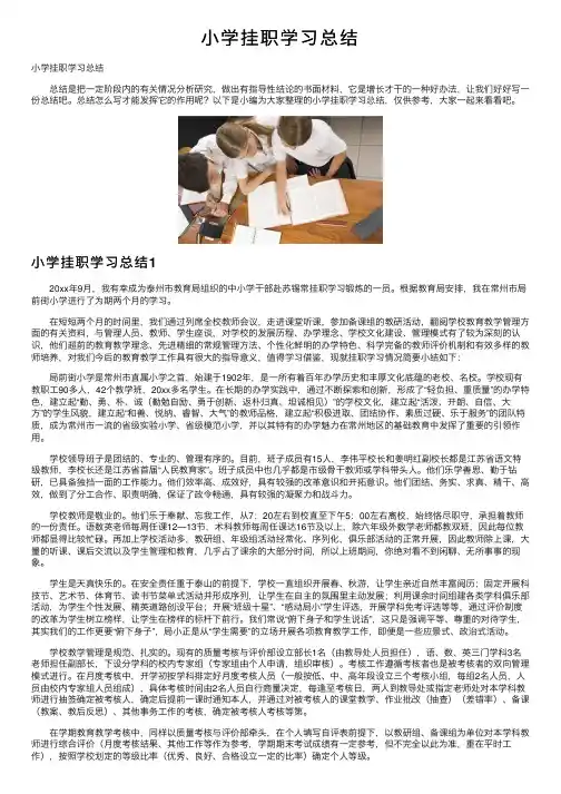 小学挂职学习总结