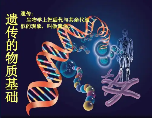 【高中生物】遗传的物质基础ppt8