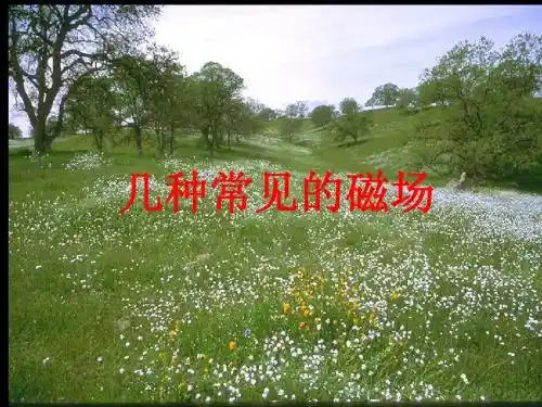 几种常见的磁场
