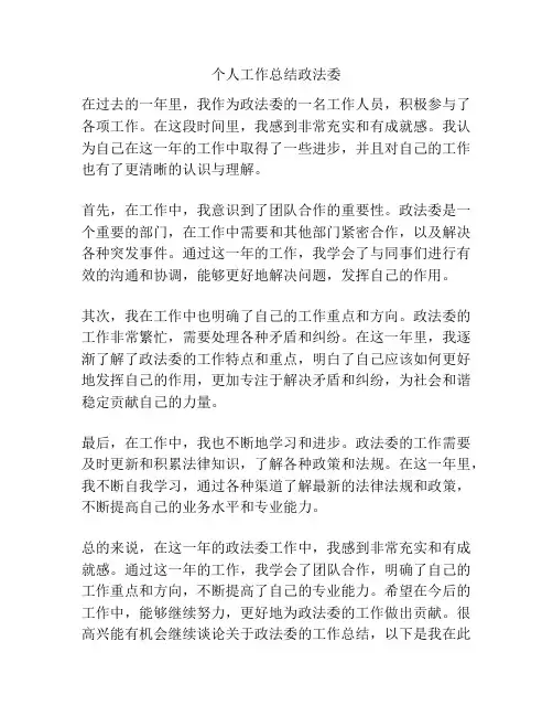 个人工作总结政法委