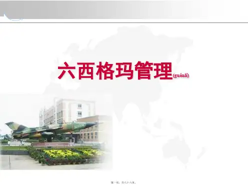 6SIGMA精益管理(精品PPT)