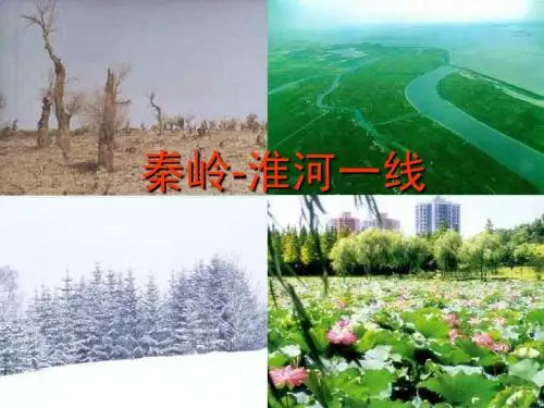 秦岭—淮河线课件