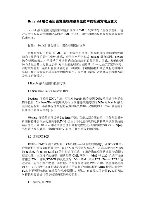 Bcr／abl融合基因在慢性粒细胞白血病中的检测方法及意义