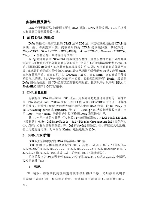 SSR分子标记实验流程