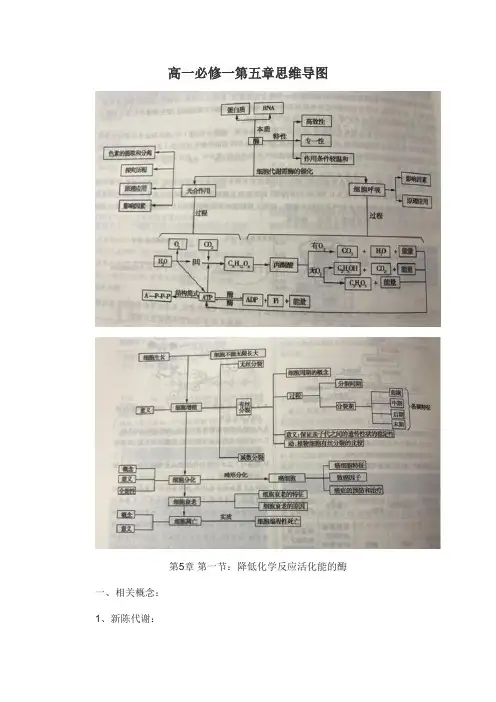 高一必修一第五章思维导图
