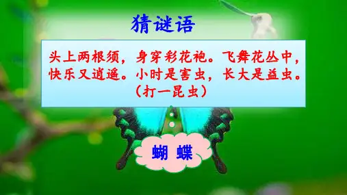 部编版二年级语文(下)PPT《小毛虫》经典课件
