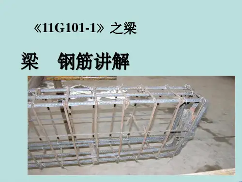 《11G101-1》图集梁配筋精解