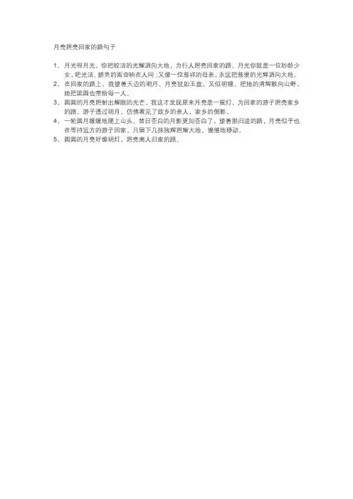 月亮照亮回家的路句子