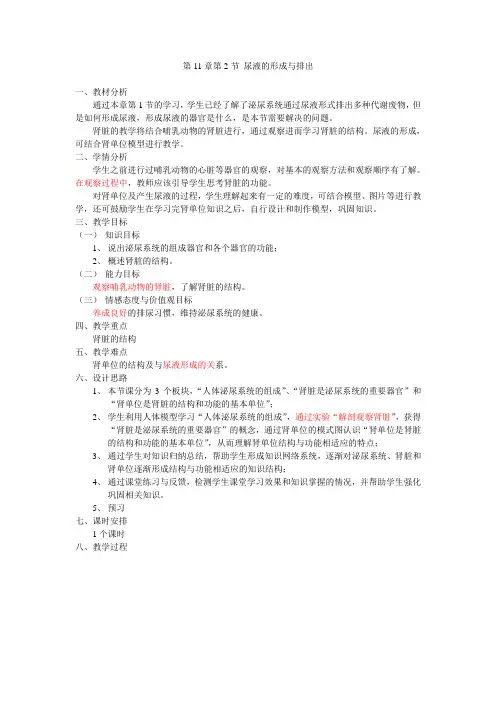 北师大版七年级下册 生物 11.2尿的形成与排出 教案设计