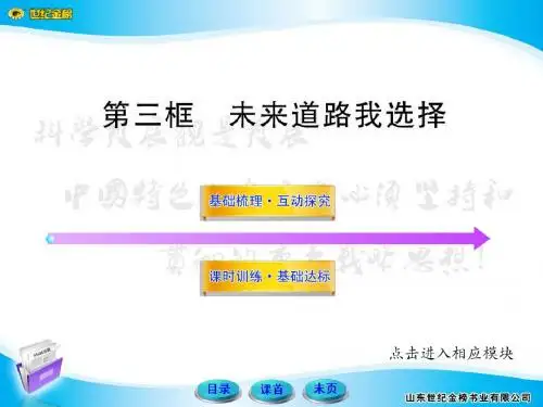 未来道路我选择