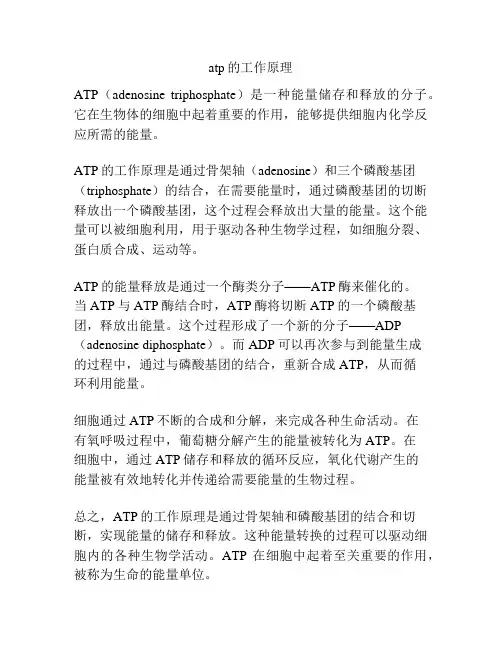 atp的工作原理