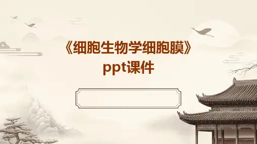 《细胞生物学细胞膜》课件