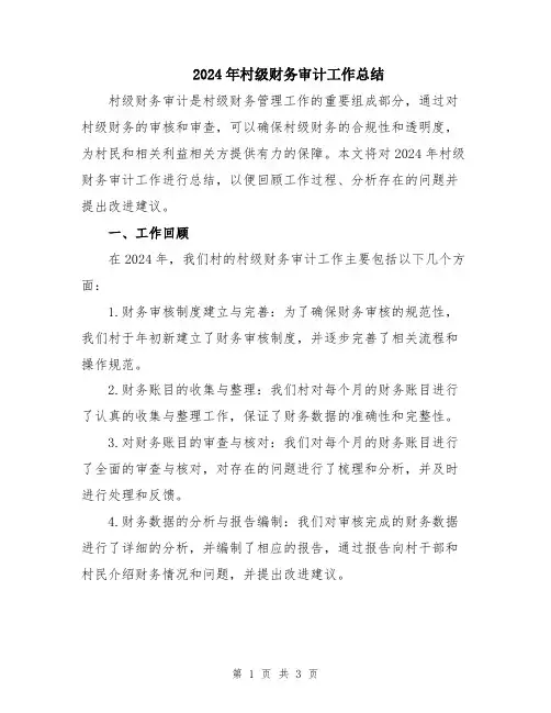 2024年村级财务审计工作总结